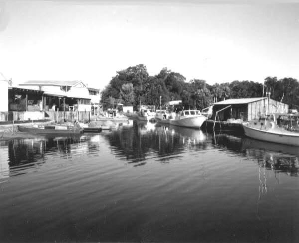 Old Crystal River Old Crystal River