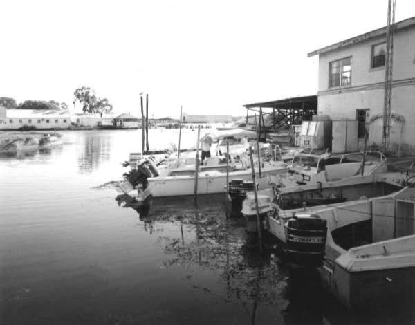 Old Crystal River Old Crystal River